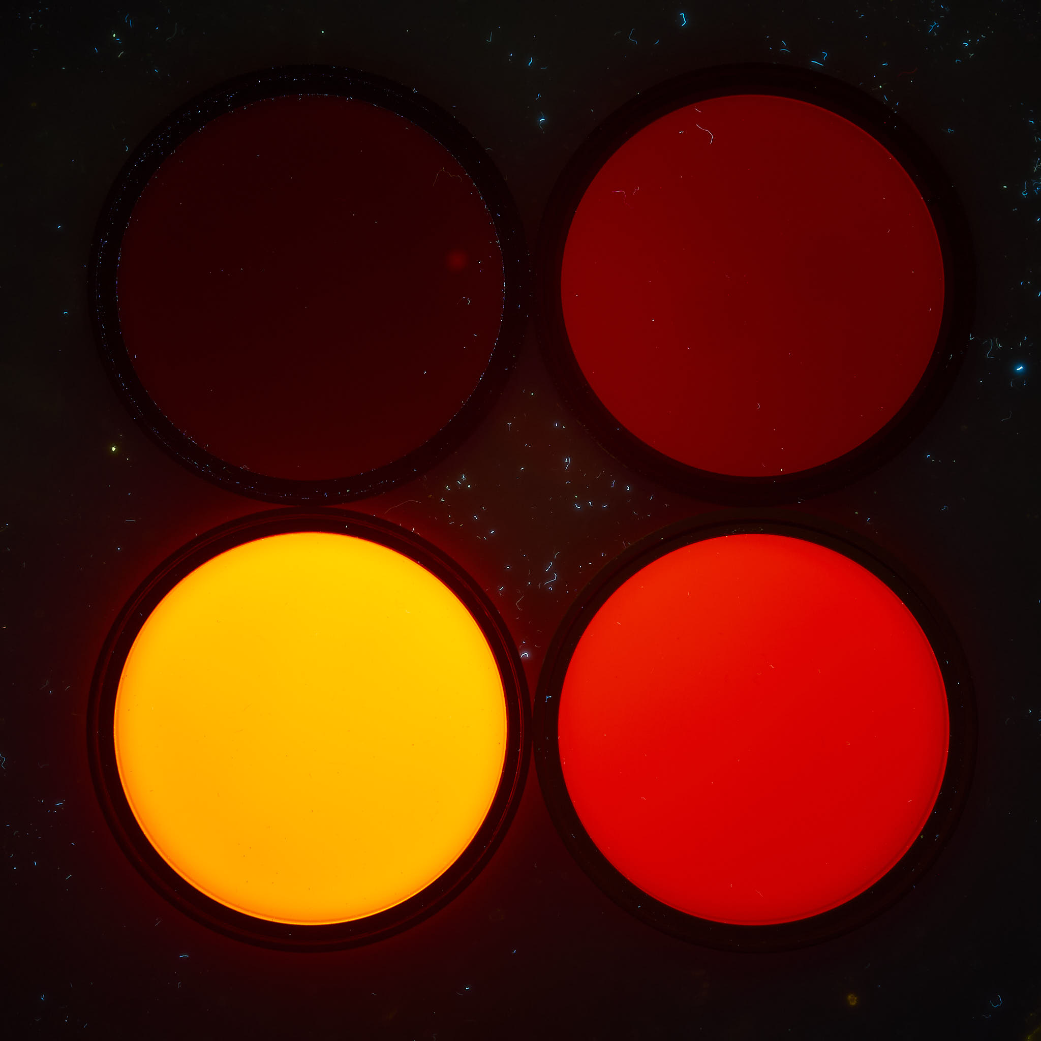 B: Filters in UV-A (365 nm) radiation, visible fluorescence (truecolour).